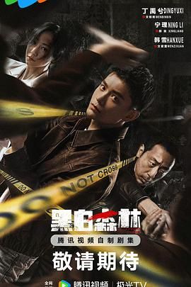 黑白森林 (2024) 第1-4集【1080P 无广告无台标无字幕 丁禹兮/宁理/韩雪】