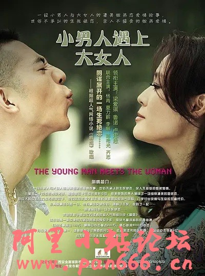 小男人遇上大女人 (2012) 
