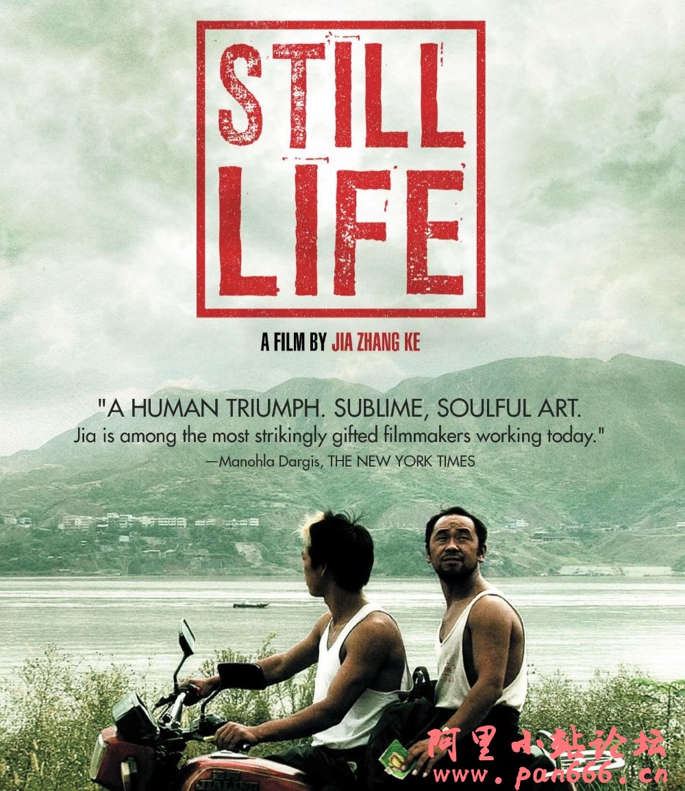 Still Life Poster