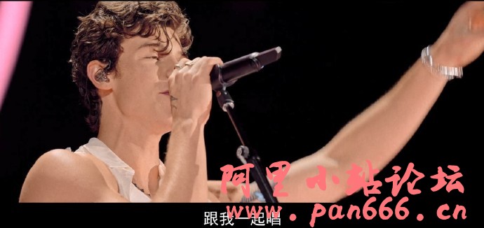 肖恩·门德斯：巡回演唱会纪实（Shawn Mendes: Live in Concert）【2160&4K】英语官方中字