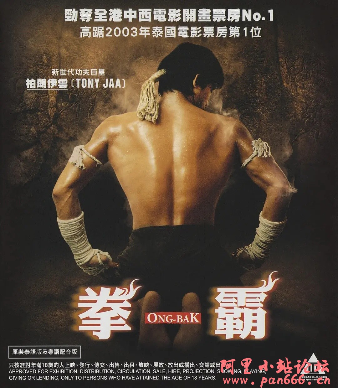 【经典洗版】泰超经典动作犯罪豆瓣7.9《拳霸》托尼贾！！全新蓝光洗版+国粤泰三语音轨+全特效字幕！！！