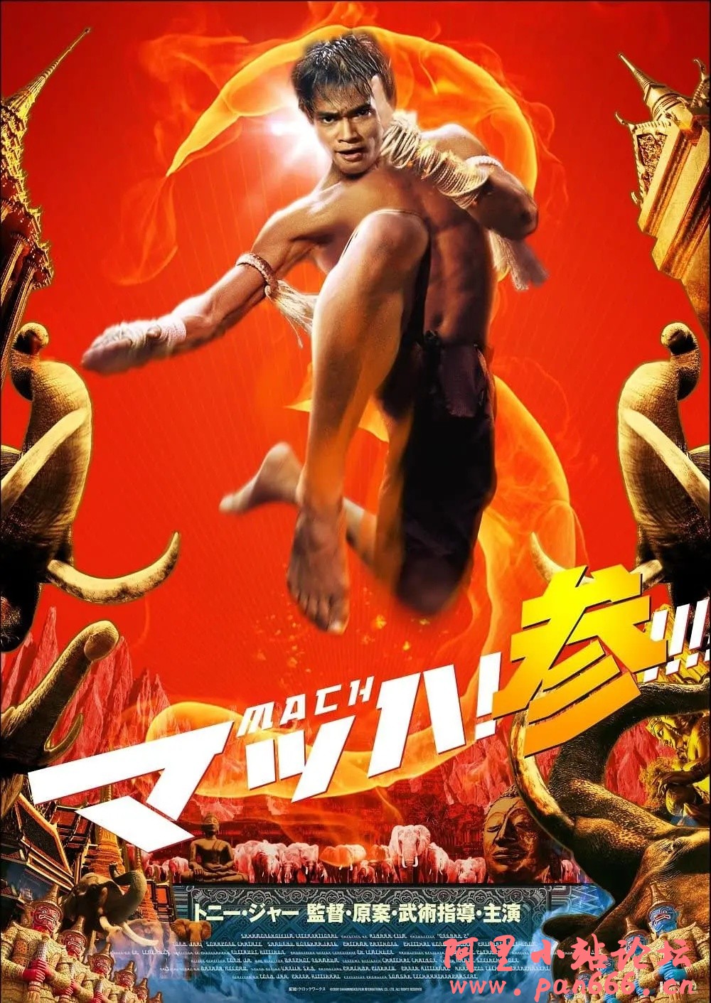 【经典洗版】泰超经典动作《拳霸3》托尼贾！！全新蓝光洗版+全特效字幕！！！