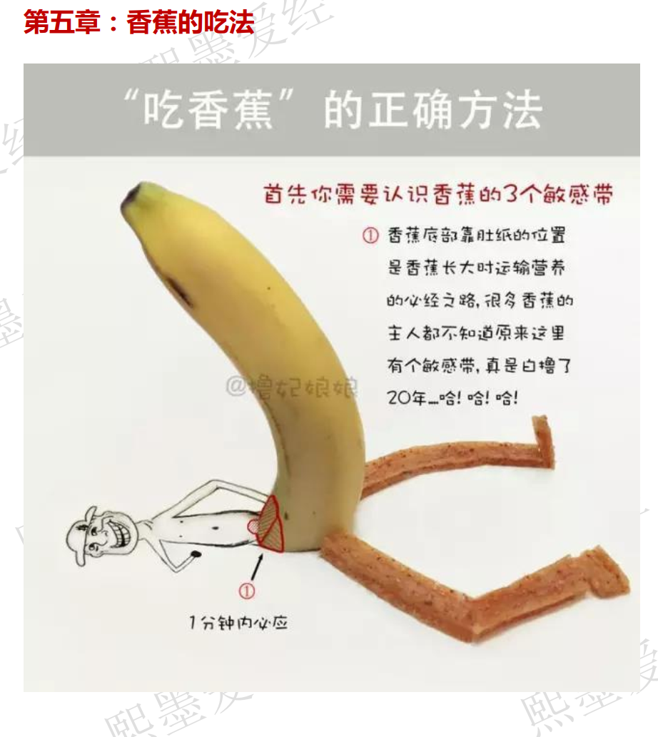 前x手册 By熙墨爱经