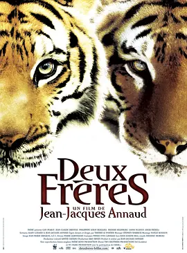 虎兄虎弟 Deux frères (2004)  18G 内封字幕 1080原盘REMUX阿里云盘下载