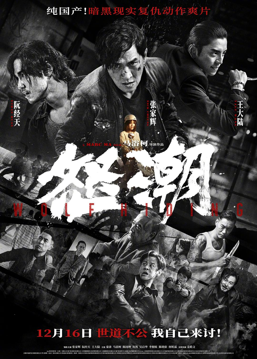 《怒潮》【4K超高码率+高帧率60帧10bit+多规格音轨】【导演：马浴柯 | 主演：张家辉 | 阮经天 | 王大陆】【20GB】