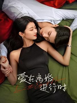 【剧名】爱在离婚进行时 [2025]【更至14集】