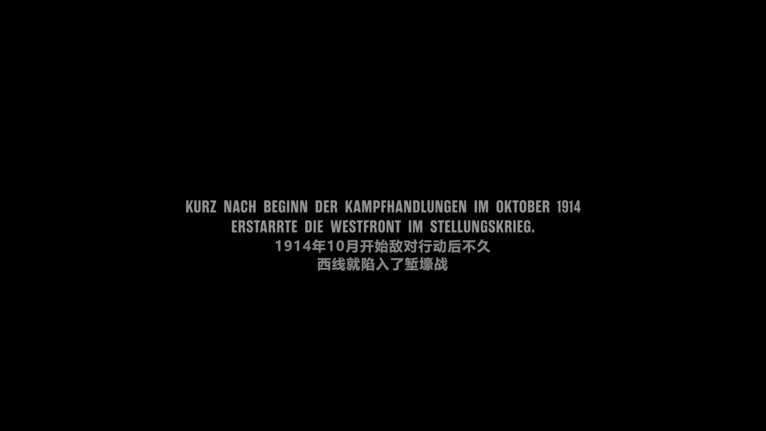 《西线无战事》4K原盘REMUX [杜比视界] [内封简德双字]