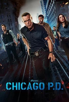 芝加哥警署 第十二季 Chicago P.D. Season 12 (2024) 第1-21集【1080P 内封简繁英字幕】28.5GB