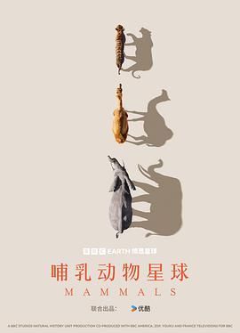 2024纪录片-《哺乳动物星球 Mammals（6集全）》）4K 高码率  英语&普通话+内封简中-英字幕【48.9G】（夸克）