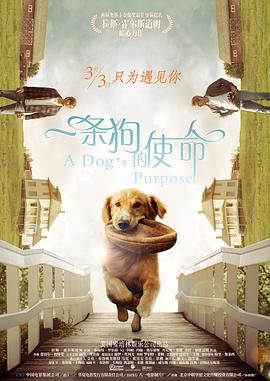 一条狗的使命 1080p remux (2017),又名:为了与你相遇,再见亦是狗朋友