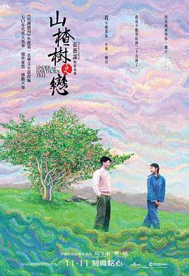 山楂树之恋 1080p remux (2010) [17.8GB] [周冬雨/窦骁]，又名：山楂树,Under the Hawthorn Tree
