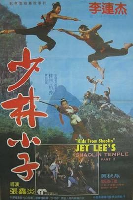 少林小子 【1984】国粤多音轨 中字外挂/内嵌字幕 1080P