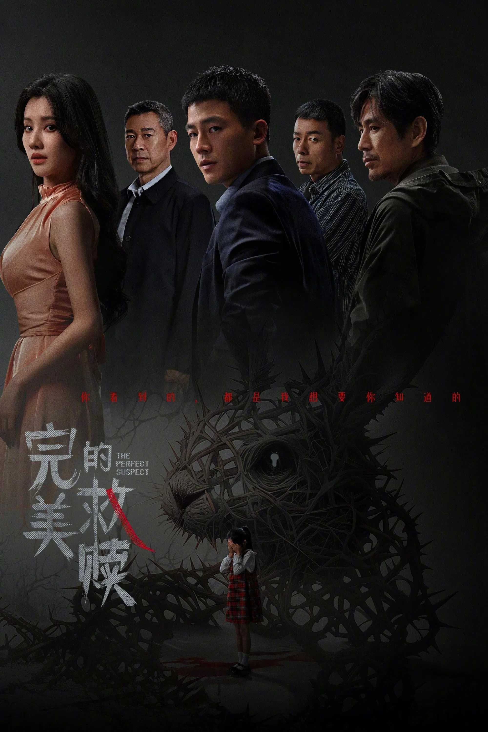 完美的救赎（2025）【16集全】【4K/臻彩视听】国语中字 1.1G/集左右