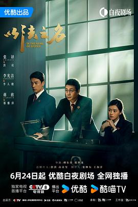 以法之名 以法之名 (2025) 第1-12集【4K/60fps 无广告无台标 张译/李光洁/蒋欣】14.6GB