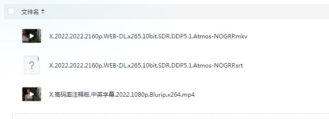 【X】又名：恐怖X档案 2022 【1080高码+4K】SDR【中文字幕】【21.9G】