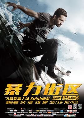 暴力街区 1080p remux (2014) [16.6GB]，又名：玩命特区,暴力禁区,公寓追凶,District B13