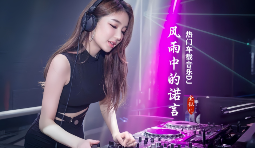 DJ《2025年车载必备326首抖音DJ嗨曲精选合集》[MP3/WAV/分轨][11.7G]