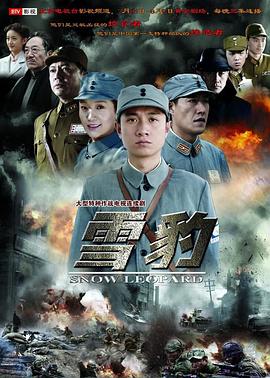 【国剧】雪豹 全40集 共33.07G 国语中字 2010 1080P