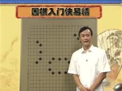 围棋入门快易精-王元围棋视频讲座【862.6 MB】