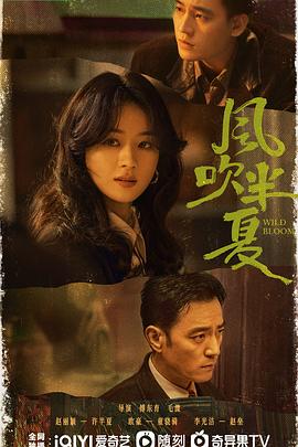 风吹半夏 (2022)  4K 单集/2.1G 全36集 豆瓣8.2分 爱情类大陆剧榜No.11  [内封中字] [77G]
